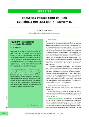 Проблема репликации концов линейных молекул ДНК и теломераза