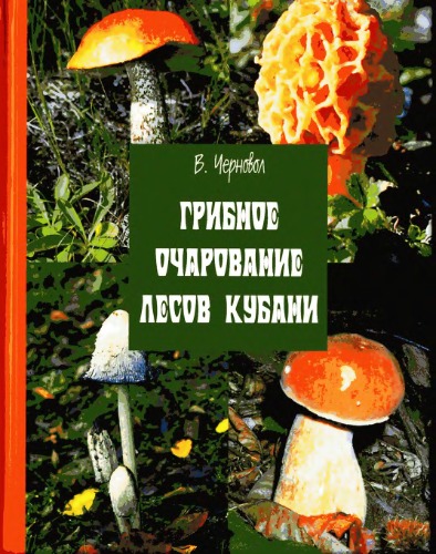 Грибное очарование лесов Кубани