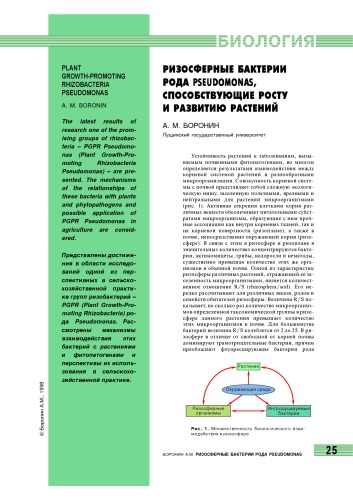 Ризосферные бактерии рода Pseudomonas, способствующие росту и развитию растений