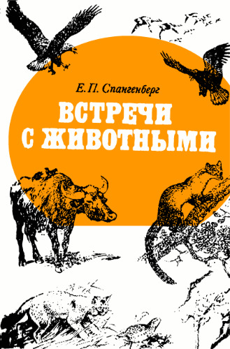 Встречи с животными