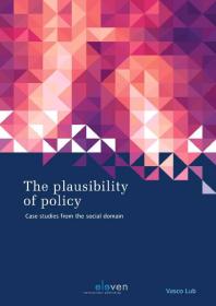 The Plausibility of Policy : Case Studies from the Social Domain