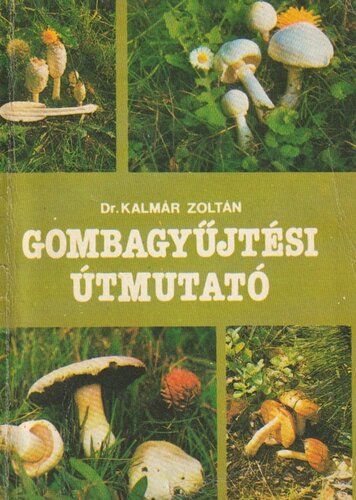 Gombagyűjtési útmutató