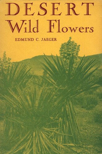 Desert Wild Flowers