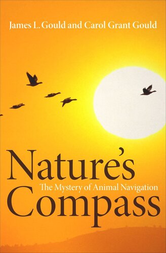 Nature's Compass: The Mystery of Animal Navigation