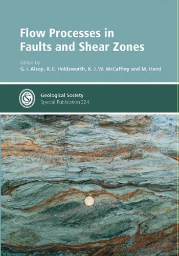 Flow Processes in Faults And Shear Zones (Geological Society Special Publication No. 224)