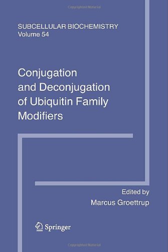 Conjugation and Deconjugation of Ubiquitin Family Modifiers: Subcellular Biochemistry