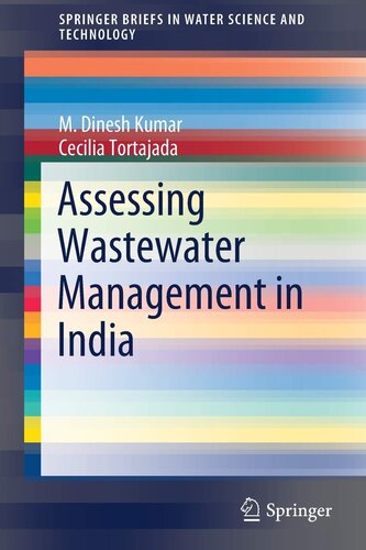 Assessing Wastewater Management in India (SpringerBriefs in Water Science and Technology)