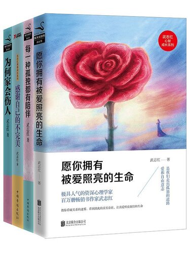 武志红四本书(套装共4册）
