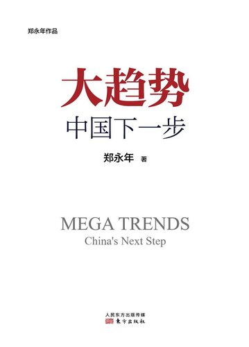 大趋势: 中国下一步