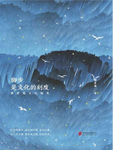 脚步，是文化的刻度: 费孝通文化随笔