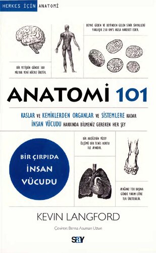 Anatomi 101