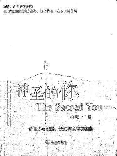 神圣的你: 活出身心健康、快乐和全部的潜能