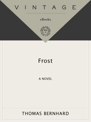 Frost: A Novel (Vintage International)