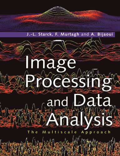 Image Processing and Data Analysis : The Multiscale Approach