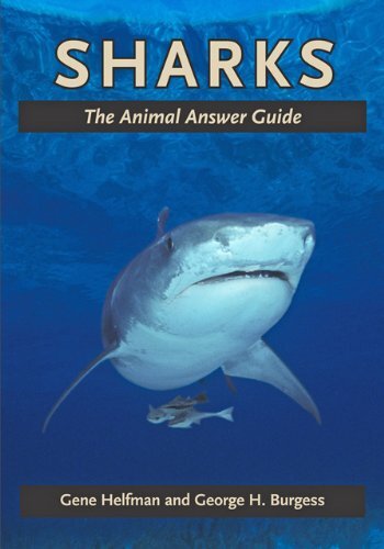 Sharks: The Animal Answer Guide (The Animal Answer Guides: Q&A for the Curious Naturalist)