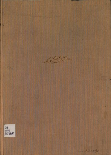 Dicső napok 1919