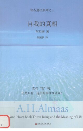 自我的真相 钻石途径系列