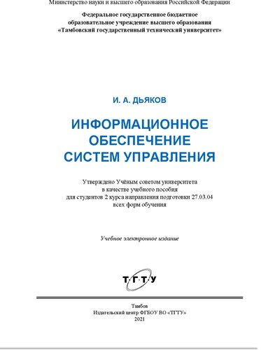 Информационное обеспечение систем управления: учебное пособие для студентов 2 курса направления подготовки 27.03.04 всех форм обучения : учебное электронное издание