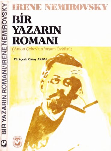 Bir Yazarın Romanı