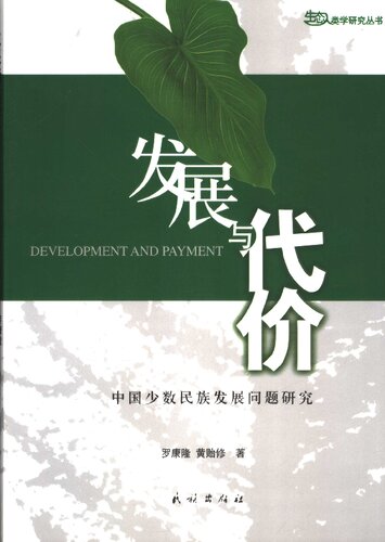 发展与代价：中国少数民族发展问题研究