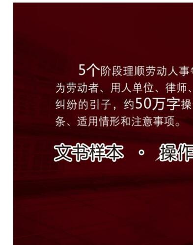 劳动人事争议文书格式样本及操作实务：协商、调解、仲裁、诉讼和执行