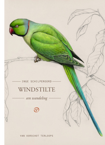 Windstilte