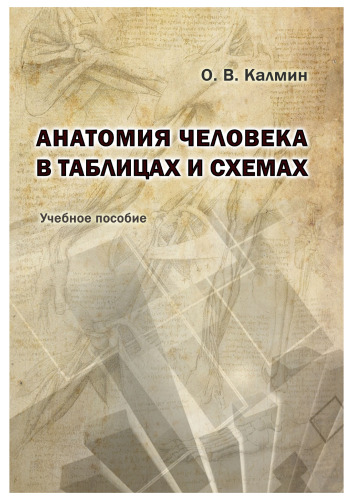 Анатомия человека в таблицах и схемах