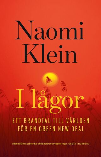 I lågor: ett brandtal till världen för en green new deal