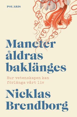 Maneter åldras baklänges