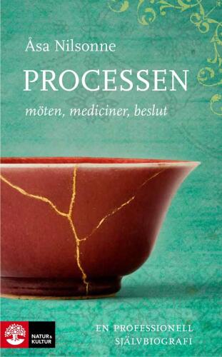 Processen: möten, mediciner, beslut