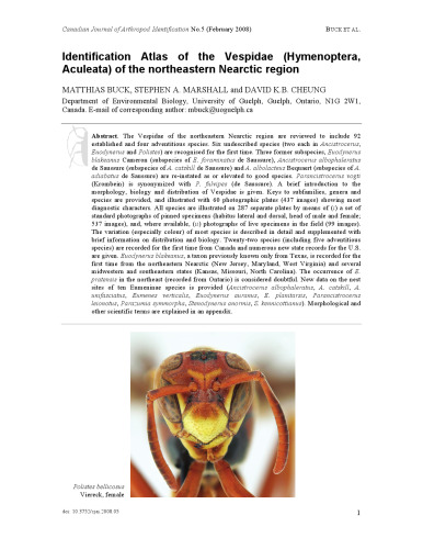 Identification atlas of the Vespidae of the northeastern Nearctic region
