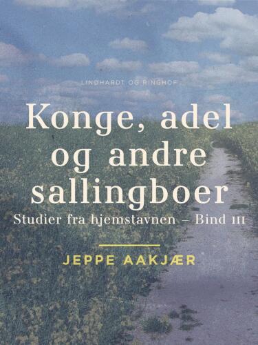Konge, adel og andre sallingboer