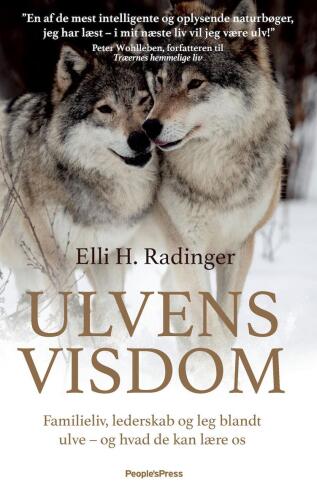 Ulvens visdom: familieliv, lederskab og leg blandt ulve - og hvad de kan lære os