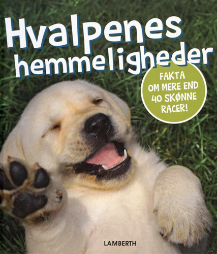Hvalpenes hemmeligheder: fakta om mere end 40 skønne racer