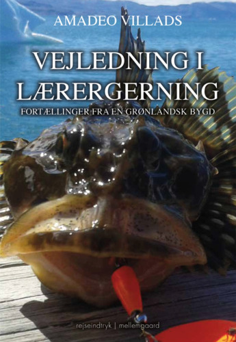Vejledning i lærergerning: fortællinger fra en grønlandsk bygd - rejseindtryk