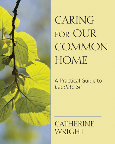 Caring for Our Common Home: A Practical Guide to Laudato Si'
