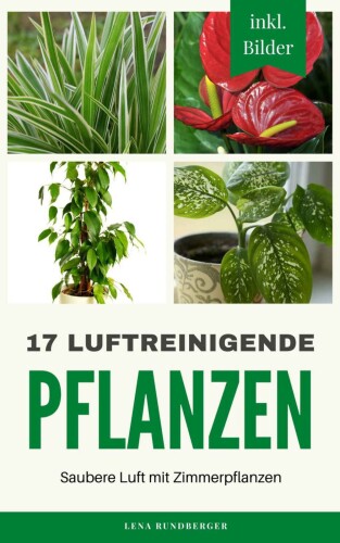 17 luftreinigende Pflanzen: inkl. Bilder Saubere Luft mit Zimmerpflanzen