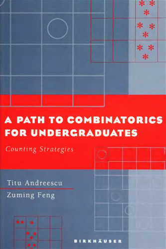 A Path to Combinatorics for Undergraduates: Counting Strategies