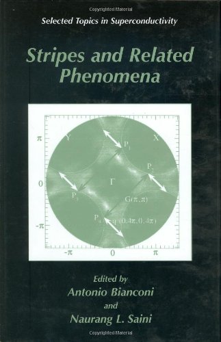 Stripes and Related Phenomena (Selected Topics in Superconductivity Volume 8)