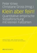 Klein aber fein!: Quantitative empirische Sozialforschung mit kleinen Fallzahlen