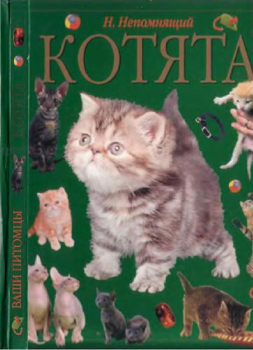 Котята