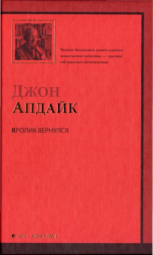 Кролик вернулся