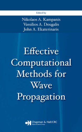 Effective Computational Methods for Wave Propagation (Numerical Insights)