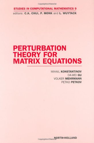 Perturbation Theory for Matrix Equations