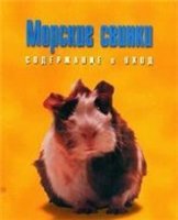 Морские свинки. Содержание и уход