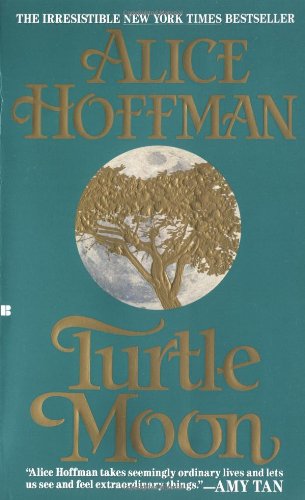 Turtle Moon