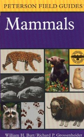 A Field Guide to Mammals: North America north of Mexico