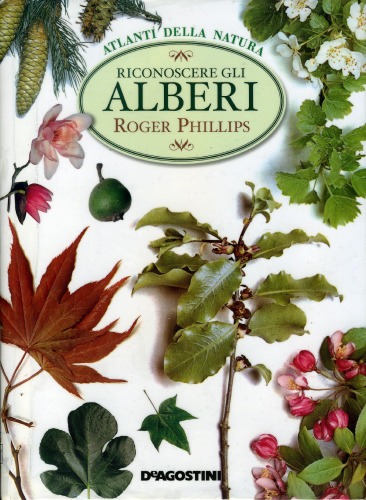 Riconoscere gli alberi
