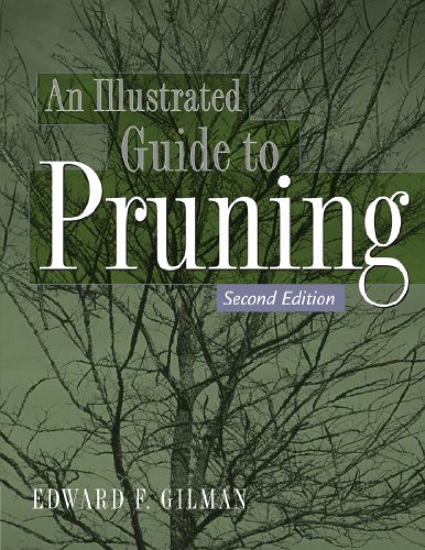 An illustrated guide to pruning