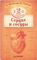 Сердце и сосуды